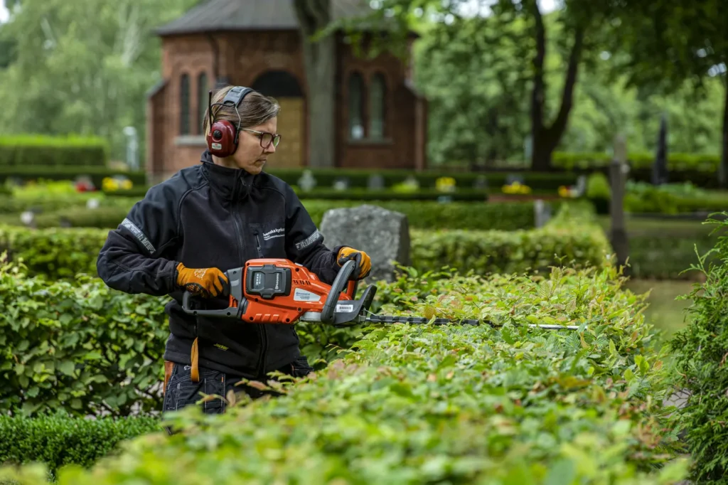 Häckklippning-bostadsrättsförening